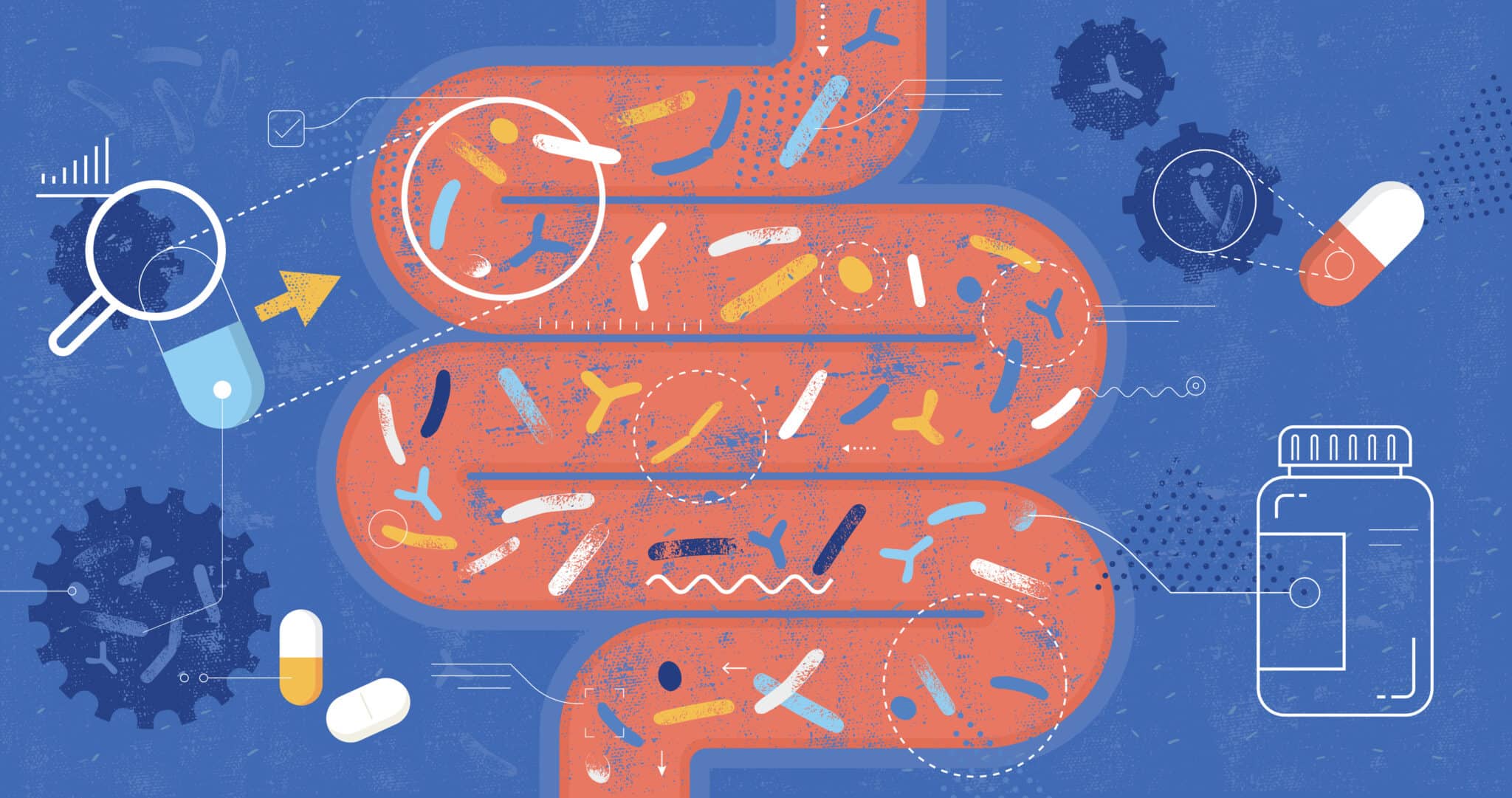 Plongée au cœur du microbiote