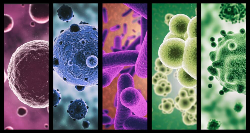 Microbiote : une nouvelle ère pour les acteurs de santé