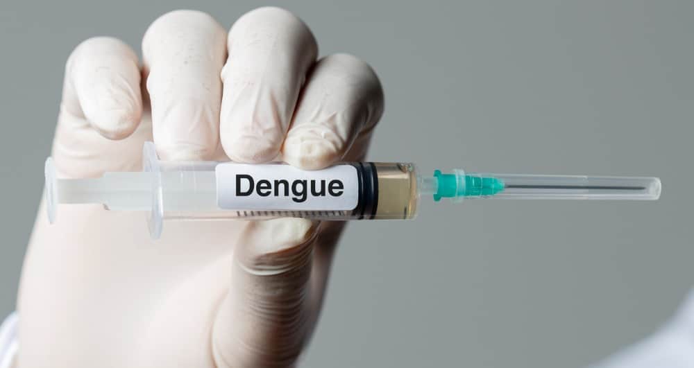 Circulation de la Dengue à La Réunion : quelle prévention adopter ?