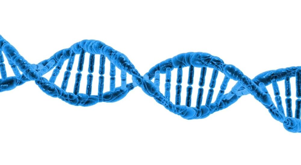 Médicaments biosimilaires : quel cadre opérationnel ?