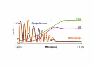 Évolution des hormones en amont et en aval de la ménopause