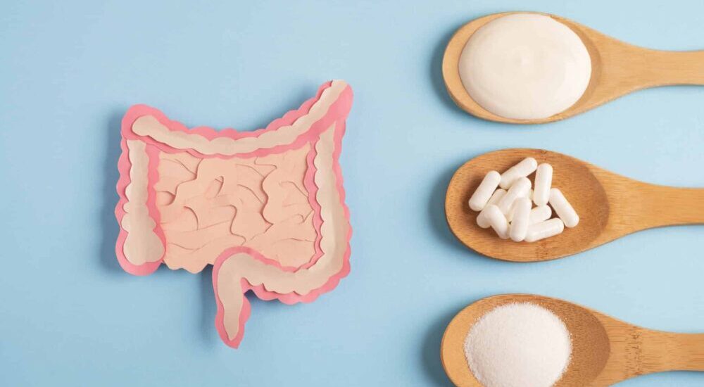 pileje,psychobiotiques,emmanuelle bocandé,probiotiques,prébiotiques